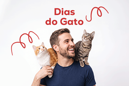 Banner Arranhadores Gato