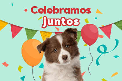 Banner Ra&ccedil;&atilde;o C&atilde;o