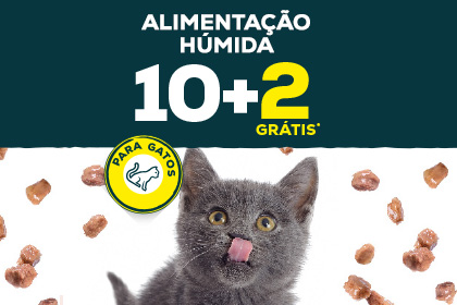 Banner Brinquedos GAto