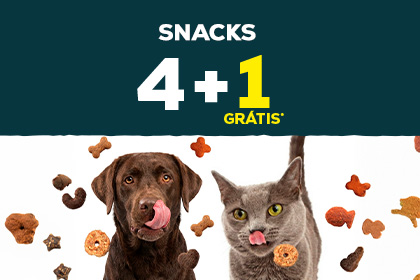 Banner Brinquedos C&atilde;o