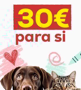 Banner Brinquedos Cão