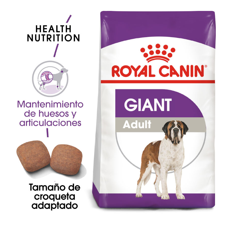 Royal Canin Adult Giant pienso para perros  , , large image number null