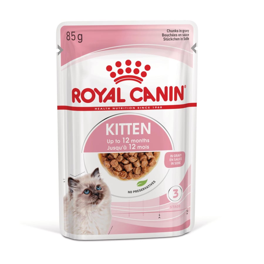 Royal Canin Kitten sobre en salsa para gatos ¡Pack ahorro!