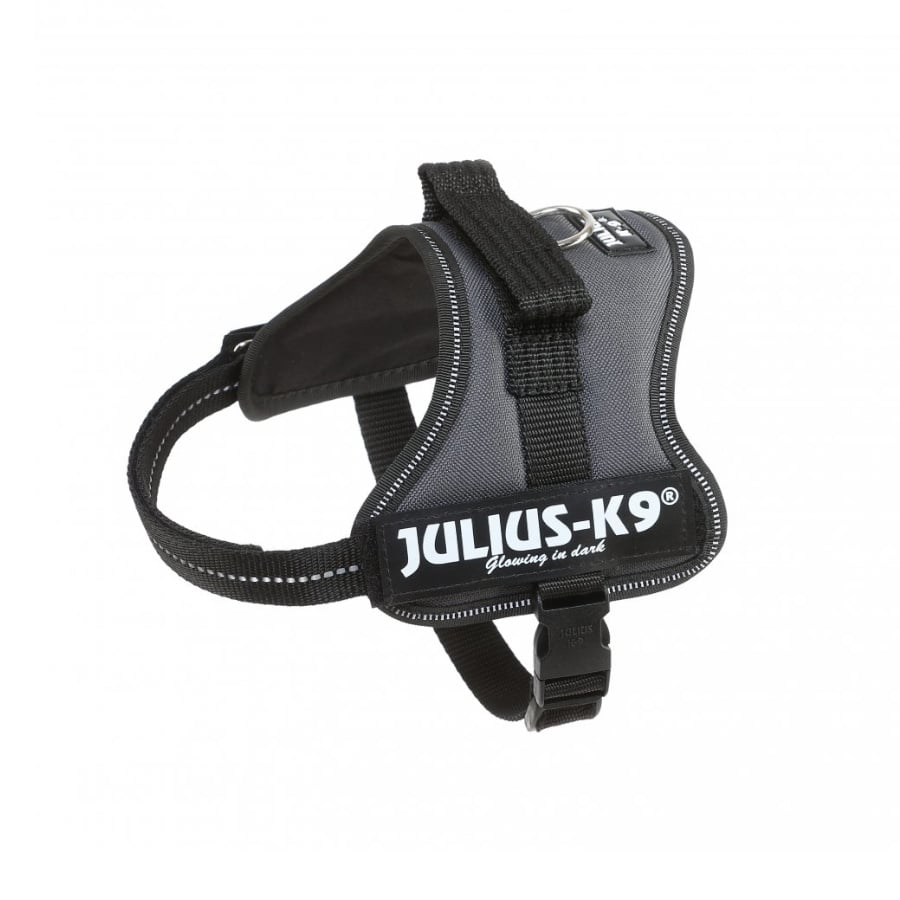 Imagen de Julius K9 Arnés Gris para perros