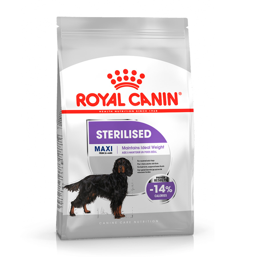 Royal Canin – Pienso para perros adultos raza grande Royal Canin Maxi Adult esterilizado 12 kg.