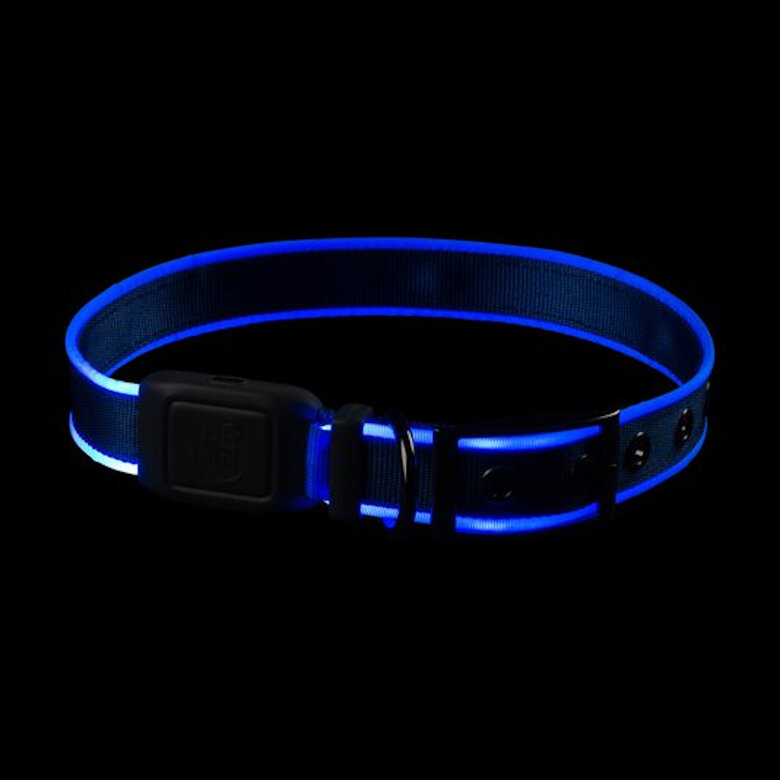 Imagen de Nite Ize NiteDog Collar LED Recargable Azul para perros