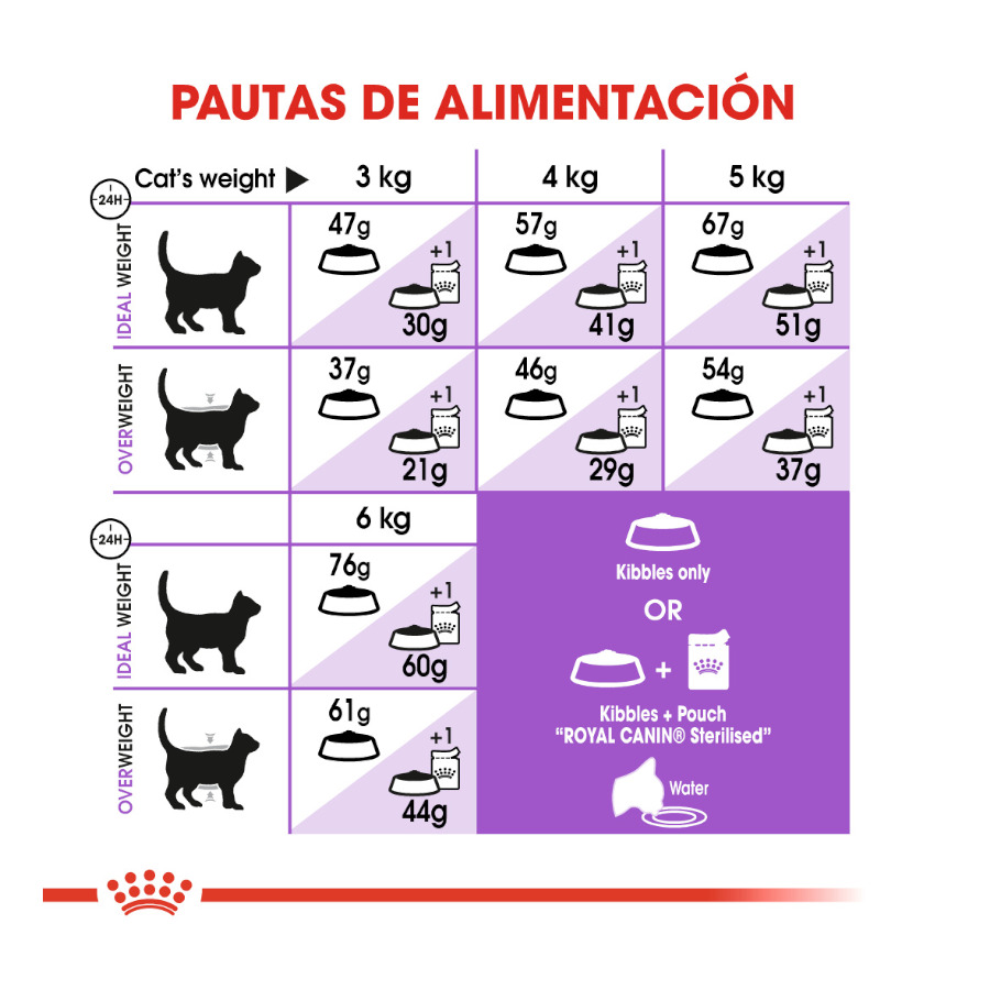 Royal Canin pienso Sterilised 37 para gatos, , large image number null