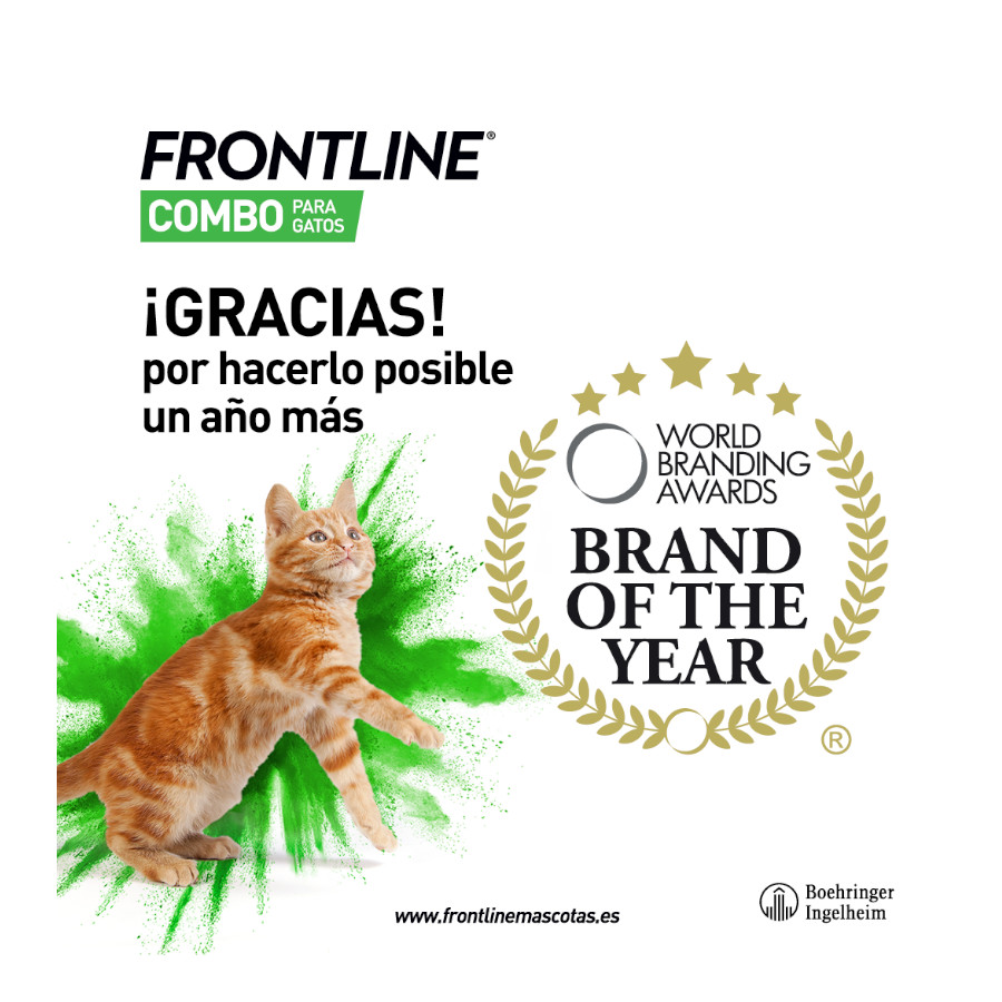 Frontline Combo Pipetas Antiparasitarias para gatos y hurones, , large image number null