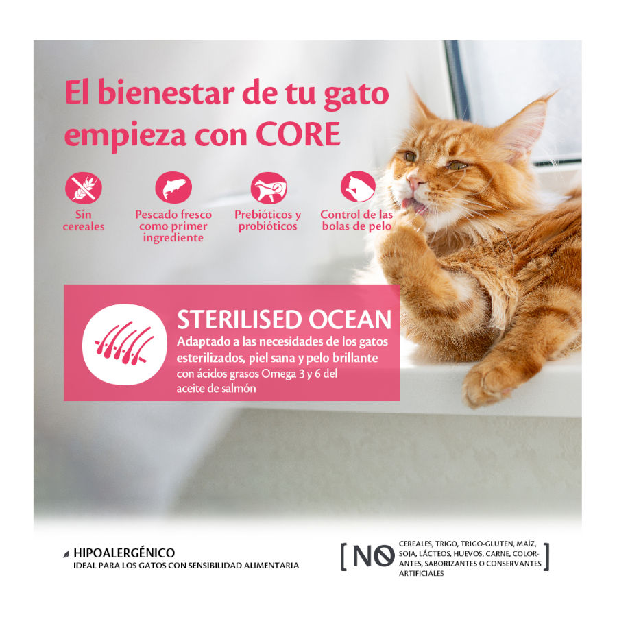 Wellness Core Adult Sterilised Ocean Salmón pienso para | Kiwoko
