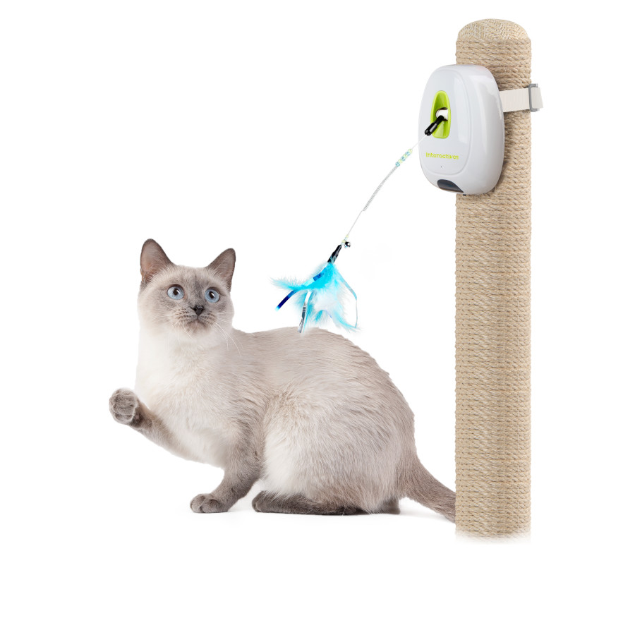 All For Paws Interactives Juguete Jumpin Wand para gatos