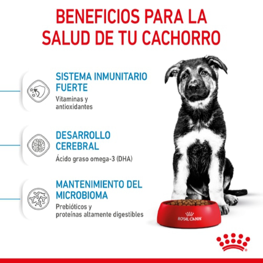 Royal Canin Puppy Maxi pienso para perros, , large image number null