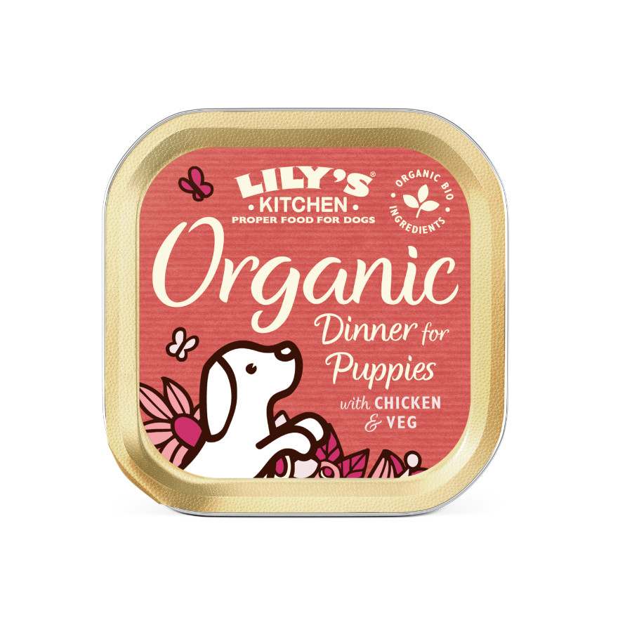 Lily's Kitchen Puppy Organic Pollo tarrina ¡Pack ahorro!