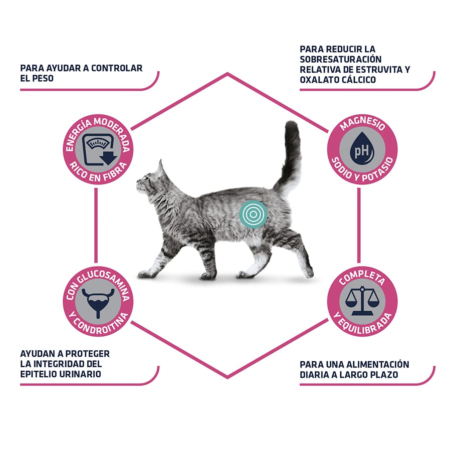 Veterinary Urinary Sterilized Low Calorie pienso para gatos | Kiwoko