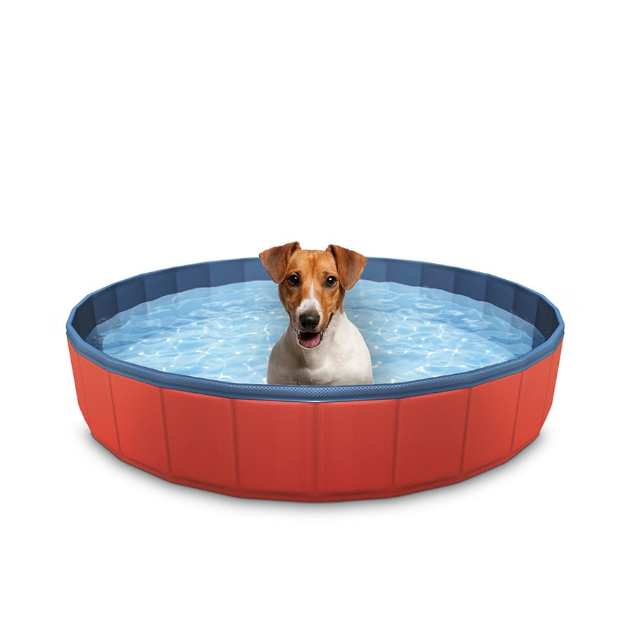 Summer Vibes para perros | Kiwoko