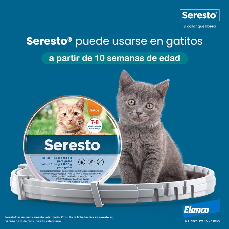 Bayer Seresto Collar Antiparasitario para gatos - 2x38cm Pack Ahorro, , large image number null