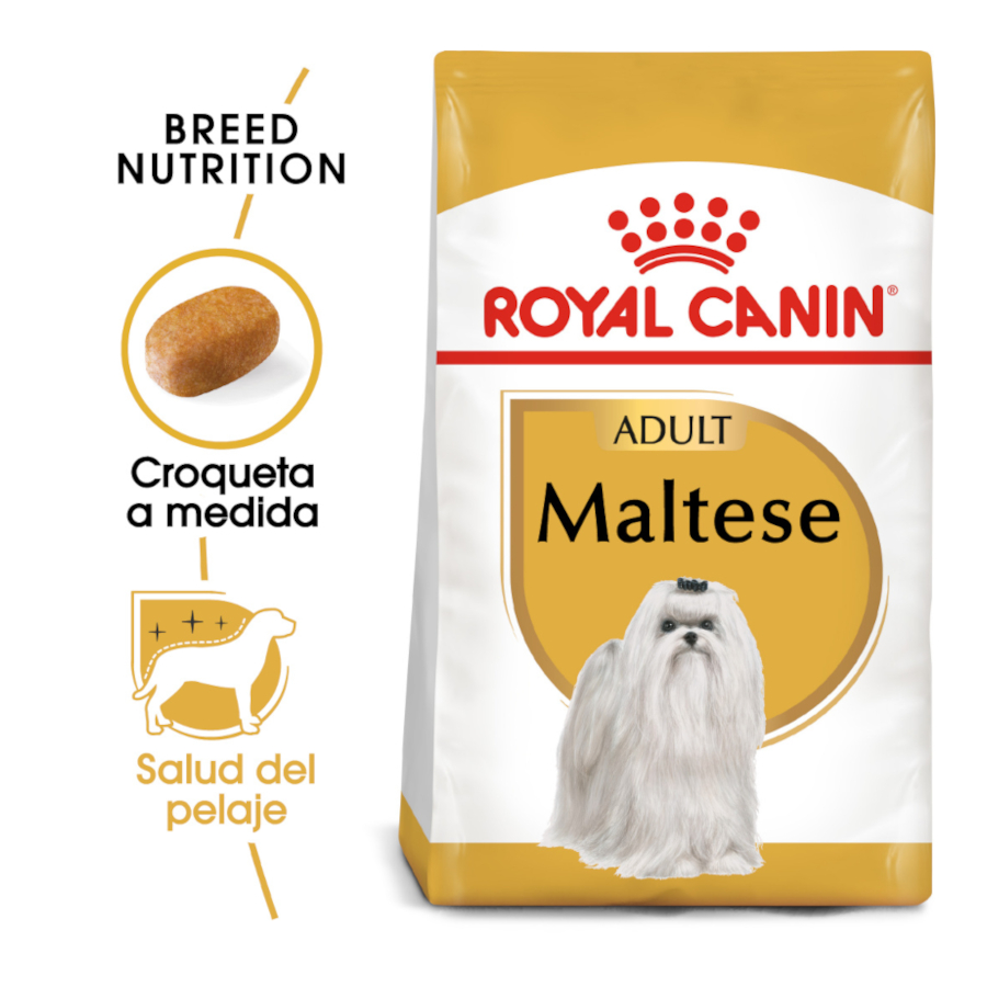 1.5kg 10 meses raza Salud Nutrición Royal Canin Bichon Frise Seco Comida De Perro
