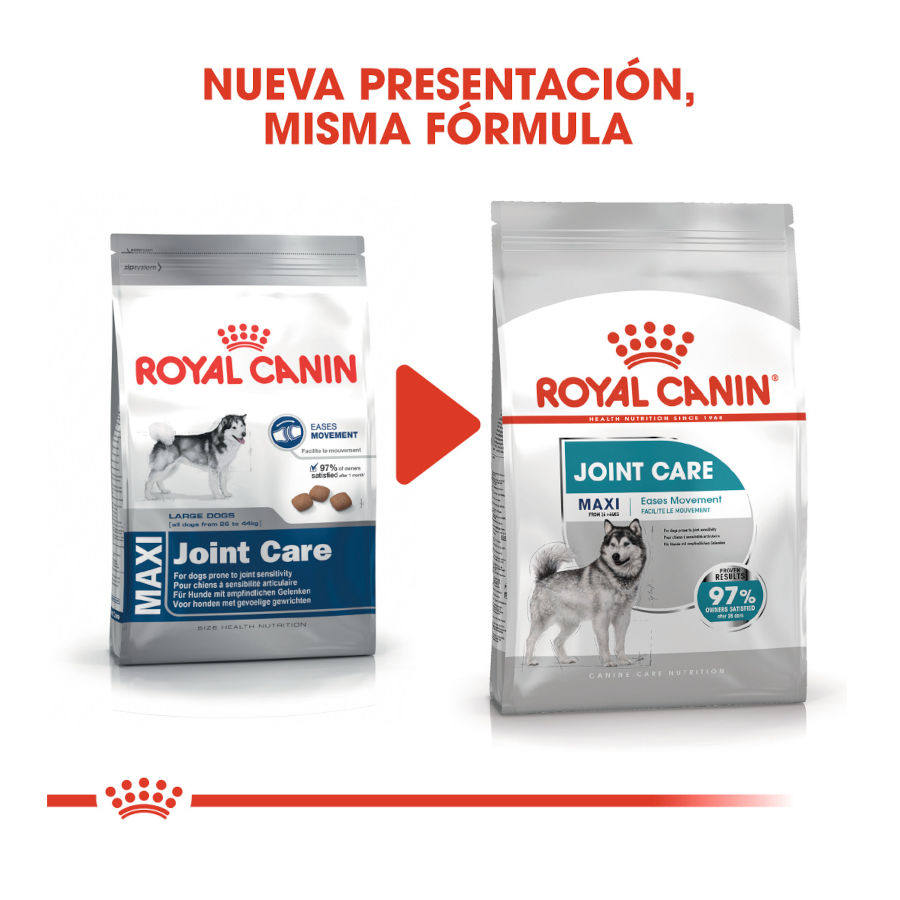 Royal Canin Maxi Joint Care pienso para perros Kiwoko Royal Canin Maxi Joint Care pienso para perros Kiwoko