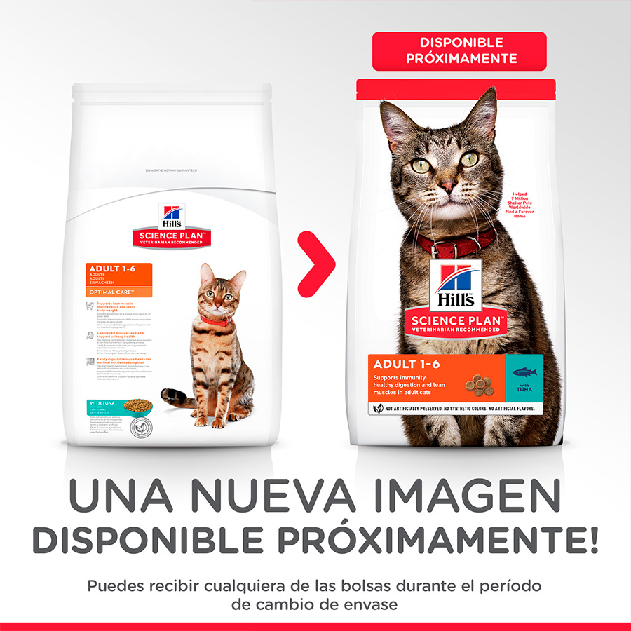 Hill's Adult Science Plan Atún pienso para gatos, , large image number null