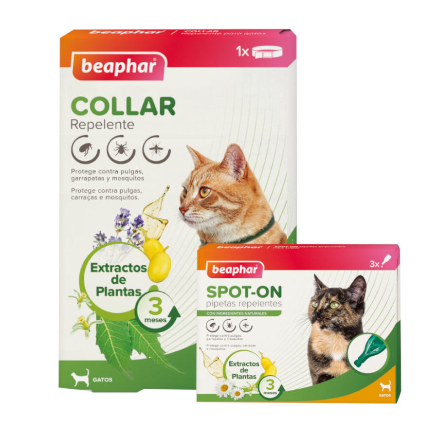 1 collar x 35 cm + 3 pipetas Pack Beaphar Collar y Pipetas repelentes para gatos ¡Pack ahorro!