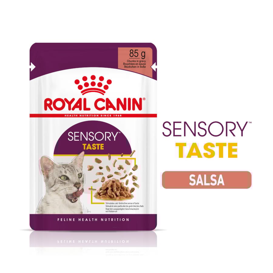 Royal Canin – Comida húmeda para gatos adultos Royal Canin Sensory Taste 85 g.