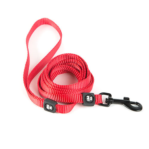 Correas elásticas para gatos - Alta Calidad - Envío Rápido