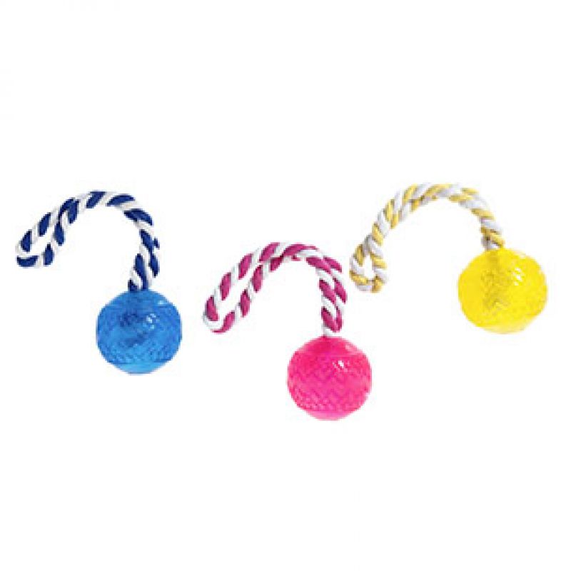 Pelota con cuerda para perros