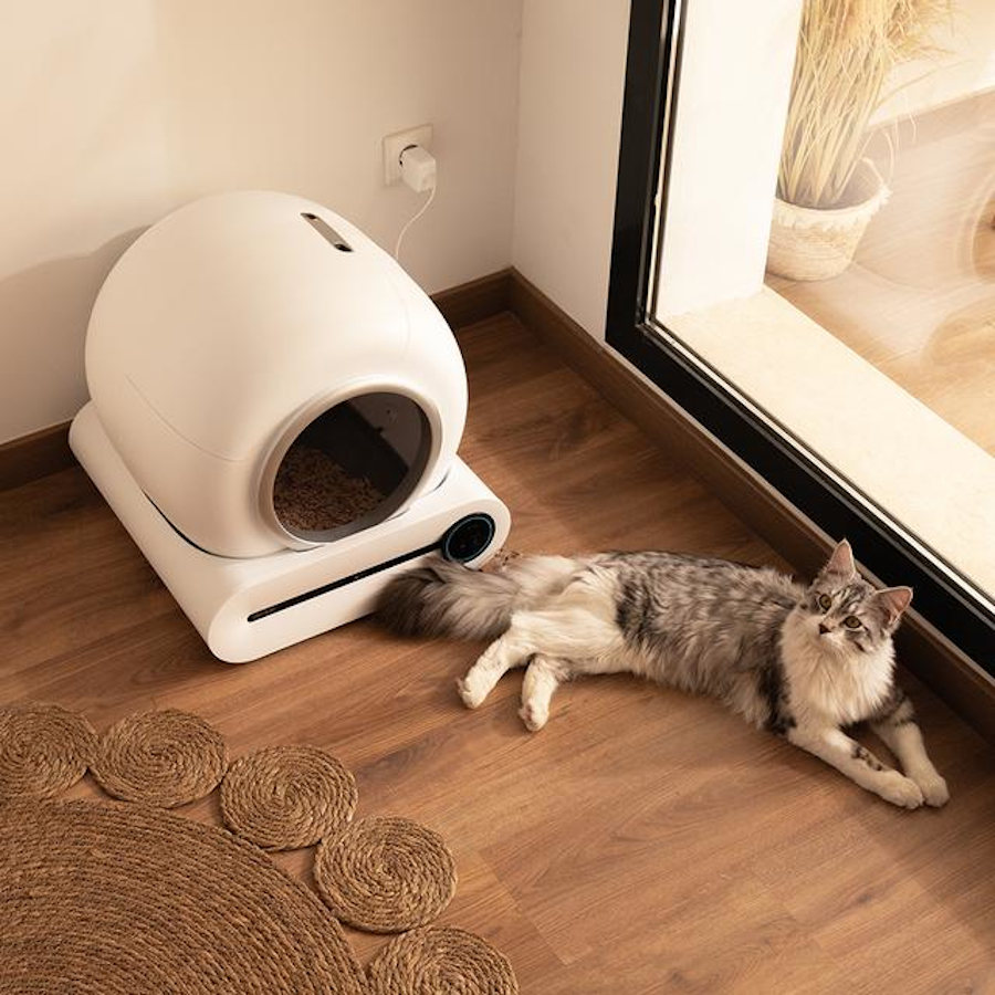 Cecotec Pumba 8000 CleanKitty Smart Arenero Autolimpiable para gatos