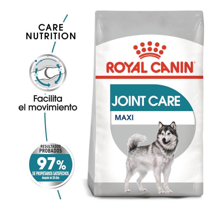 Royal Canin Joint Care Maxi pienso para perros ¡Pack ahorro!