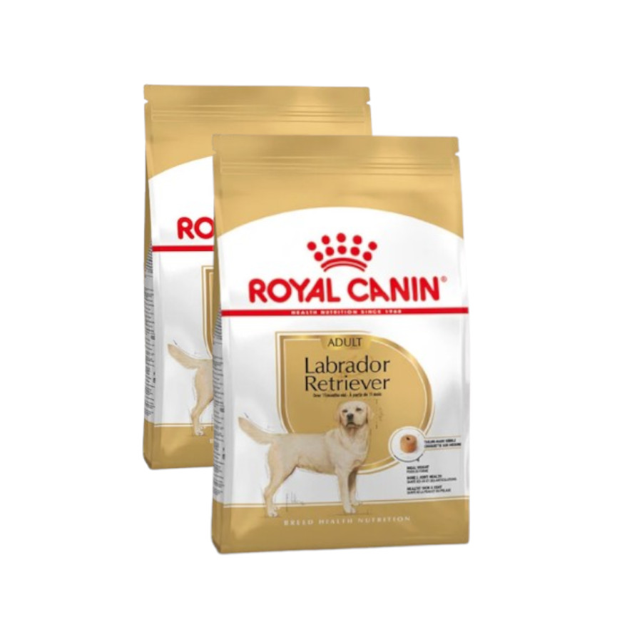 Royal Canin Adult Labrador Retriever pienso para perros ¡Pack ahorro!