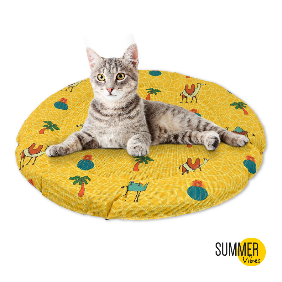 Enfriamiento Cama Fresca Para Gatos Cama Refrescante Para Perros