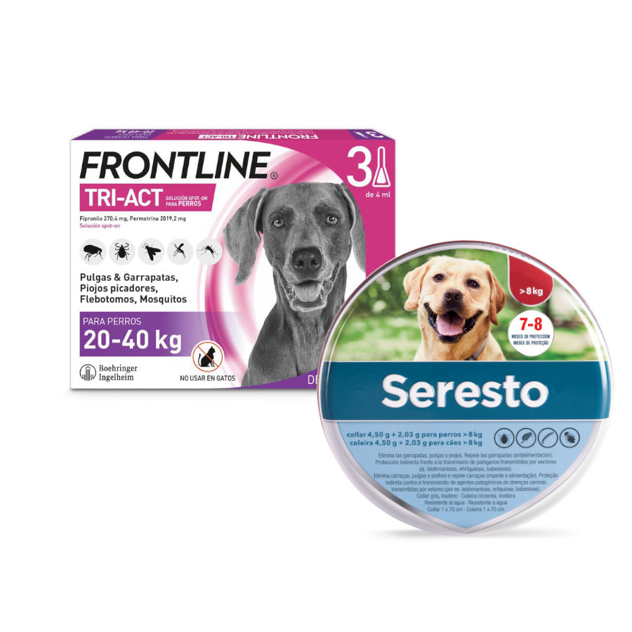 Perro +8kg Collar antiparasitario mas eficaz 8 Meses de protección seresto Frente a pulgas y garrapatas