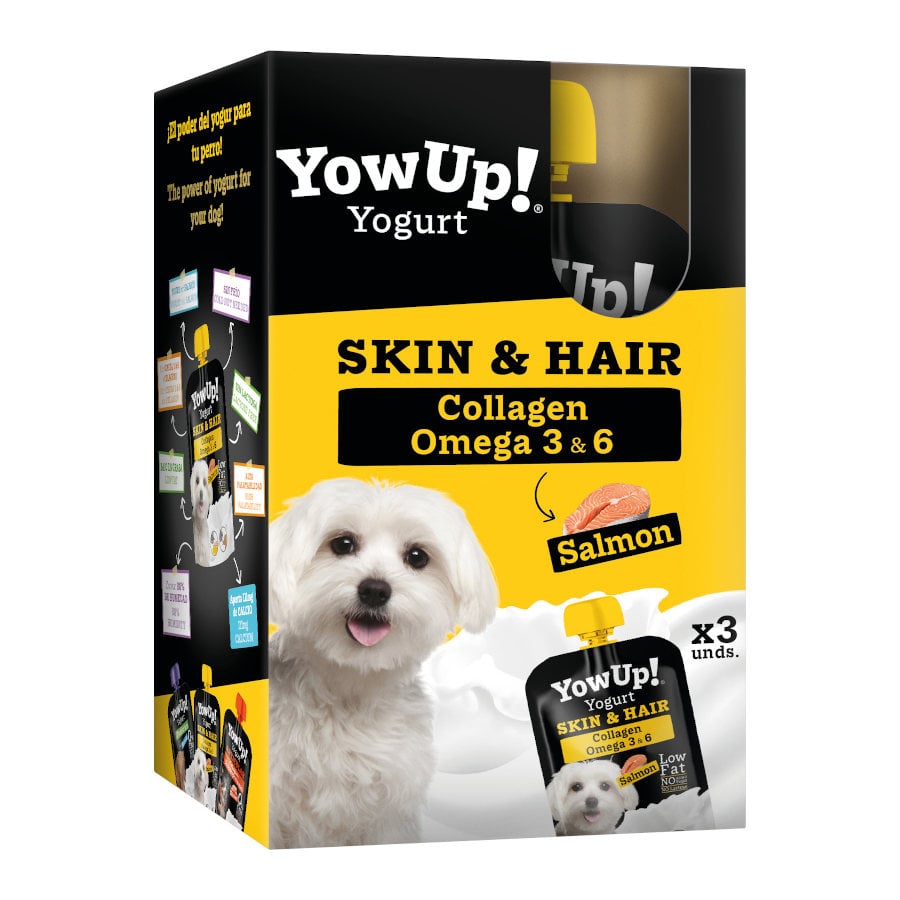 4 uds. x 115 g YowUp! Skin & Hair Salmón yogur para perros ¡Pack Ahorro!