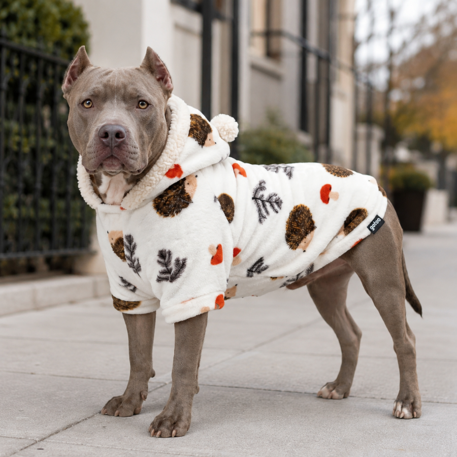 Gotoo Sudadera Forro Polar Estampado Erizo para perros