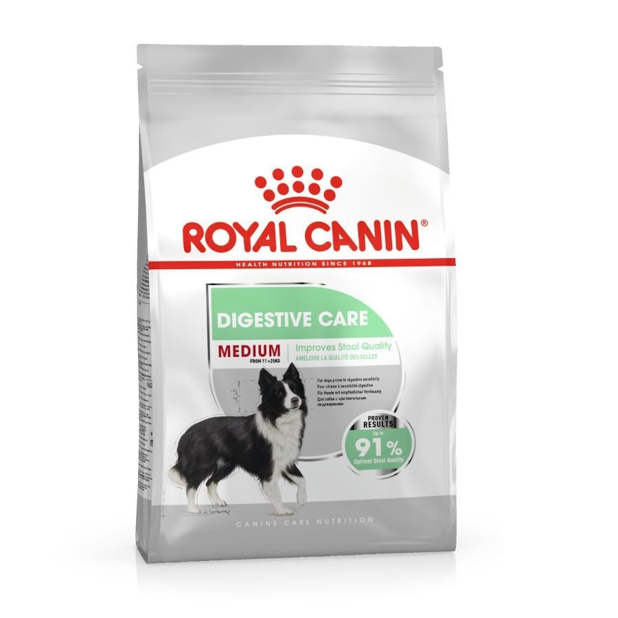 Royal Canin Digestive Care Medium pienso para perros ¡Pack ahorro!