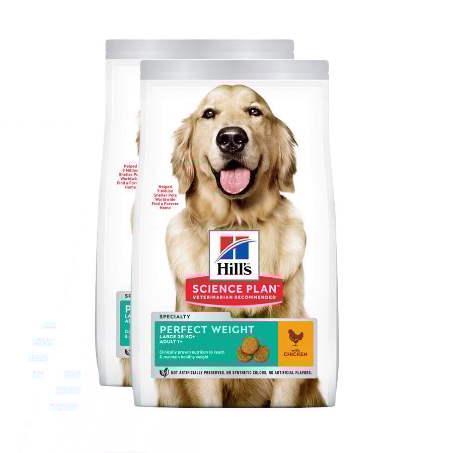 Hill's Science Plan Perfect Weight Adult Large Pollo pienso para perros ¡Pack ahorro!