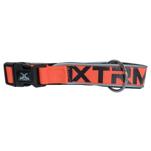 Imagen de Nayeco Collar X-TRM Neon Flash para Perro Naranja / 38mm x 50-70cm