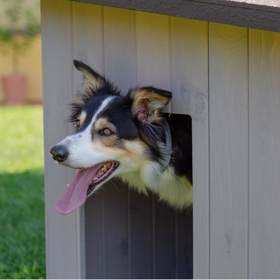 Imagen de TK-Pet Lake Caseta de Madera para perros
