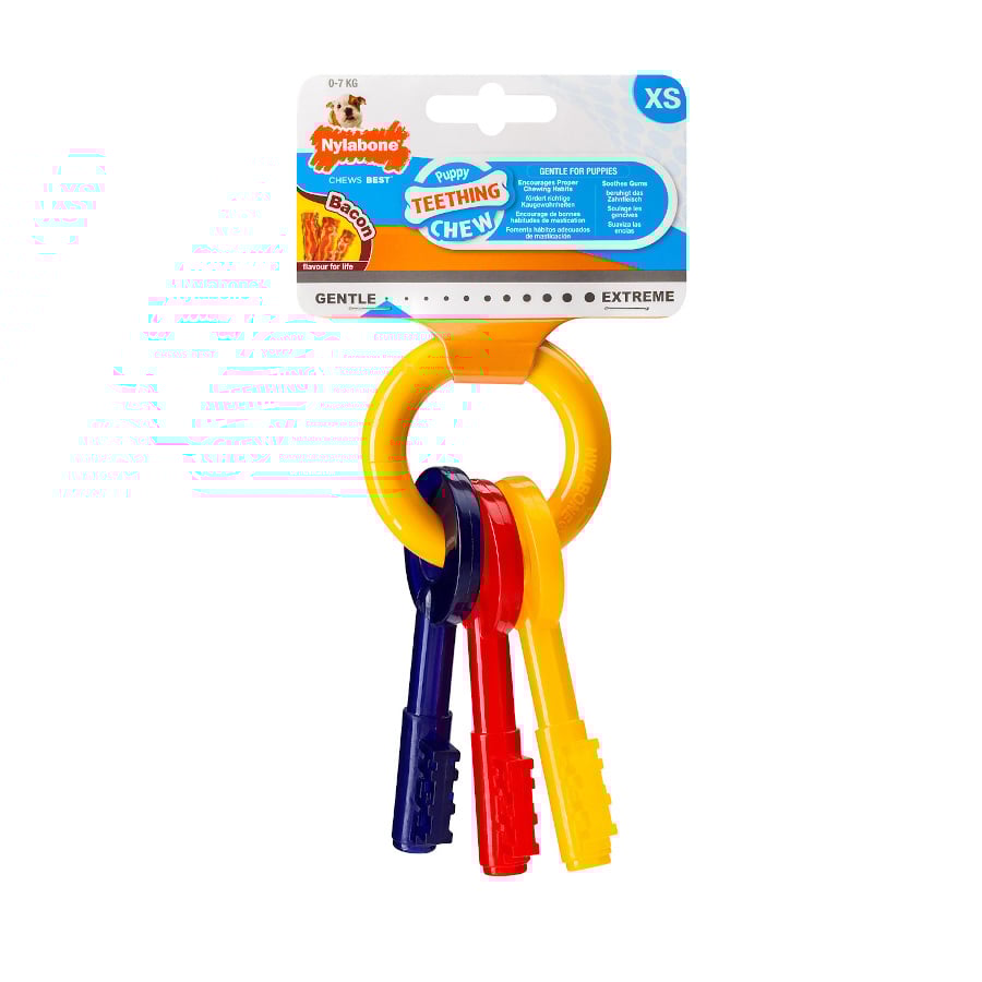 Nylabone – Juguete mordedor Nylabone para perros llaves. Multicolor. Talla S