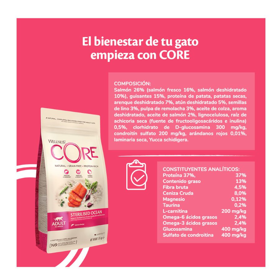 Wellness Core Adult Sterilised Ocean Salmón pienso para | Kiwoko