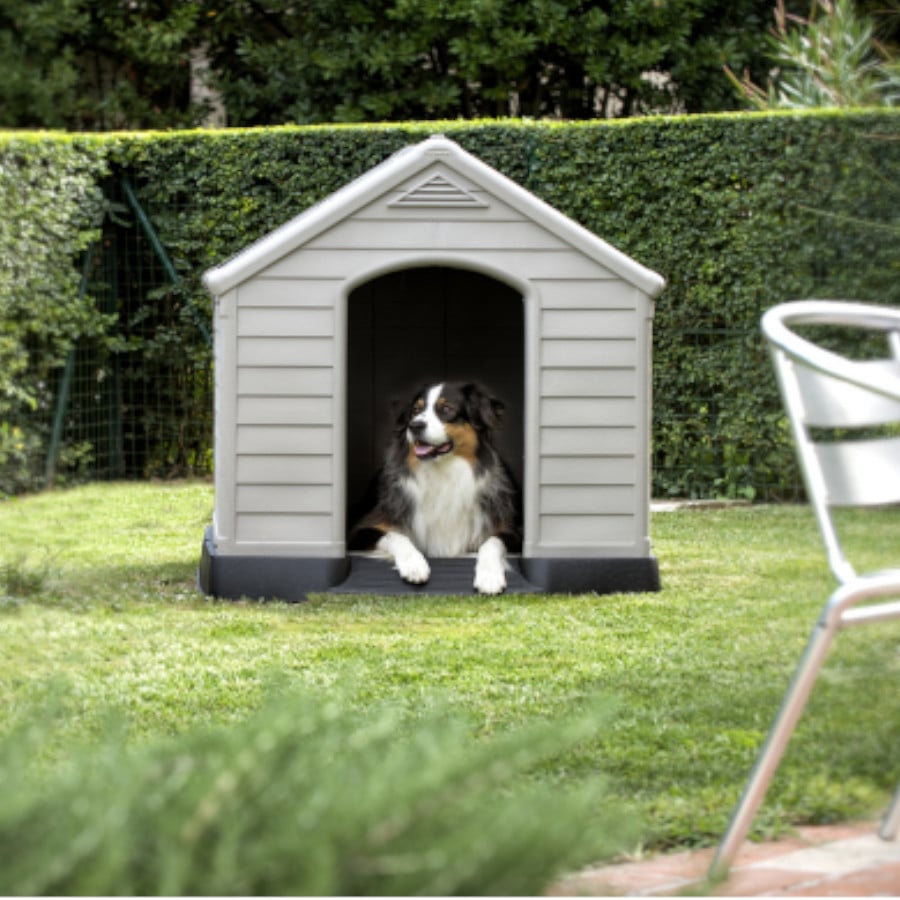 Imagen de Caseta para Perros Curver