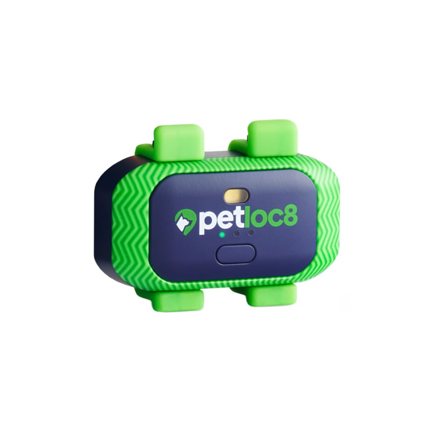 Trackimo Localizador GPS Petloc8 Mini 4G para perros y gatos pequeños
