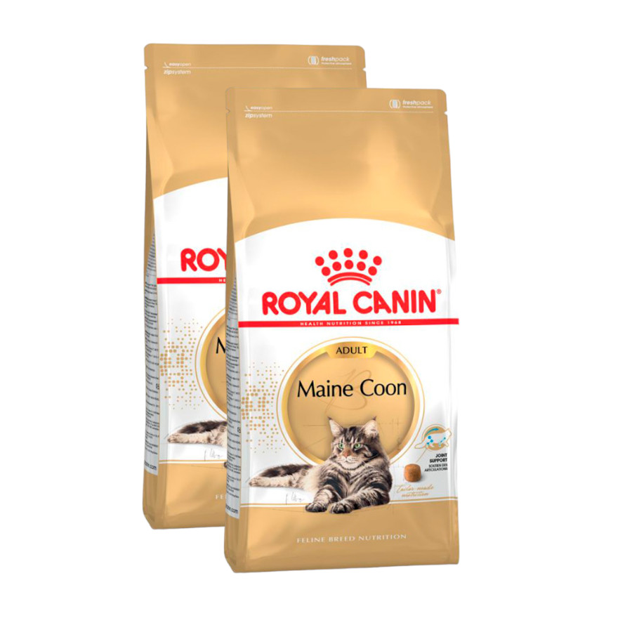 Royal Canin Adult Maine Coon pienso para gatos ¡Pack ahorro!