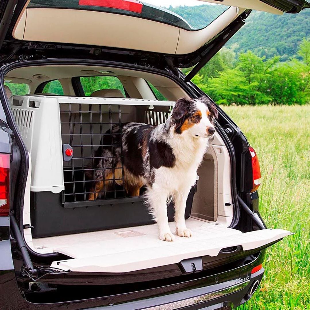 Ferplast Atlas Car Transportín para perros