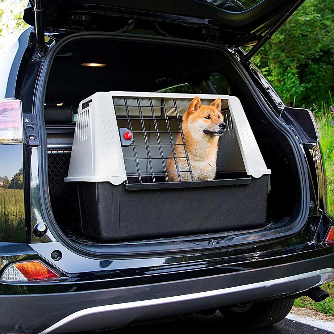 Ferplast Atlas Car Transportín para perros
