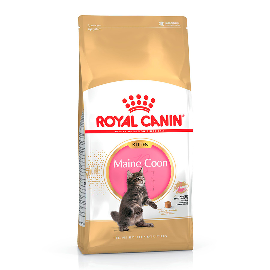 Imagen de Royal Canin Maine Coon Kitten 4 Kg