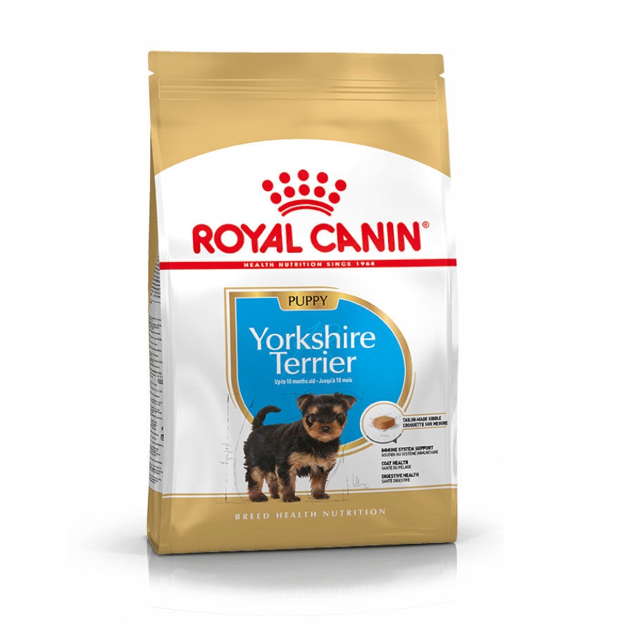 Royal Canin Puppy Yorkshire Terrier pienso para cachorros