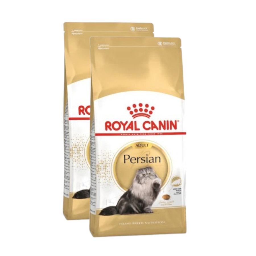 Royal Canin Persian pienso para gato adulto persa ¡Pack ahorro!