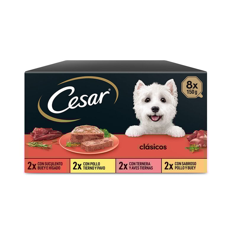 Cesar – Comida húmeda para perros adultos César paté Selección Clásicos. 1200 g