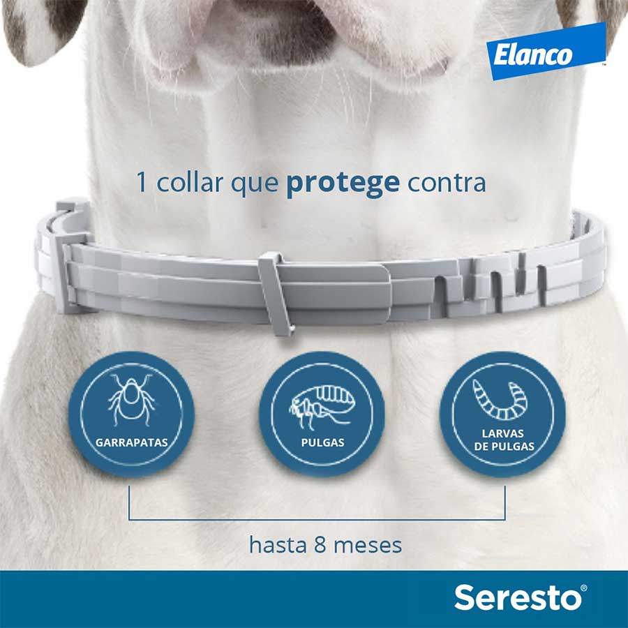 Seresto Collar Antiparasitario Kiwoko