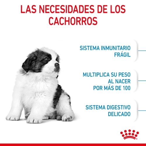 Royal Canin Puppy Giant pienso para perros , , large image number null